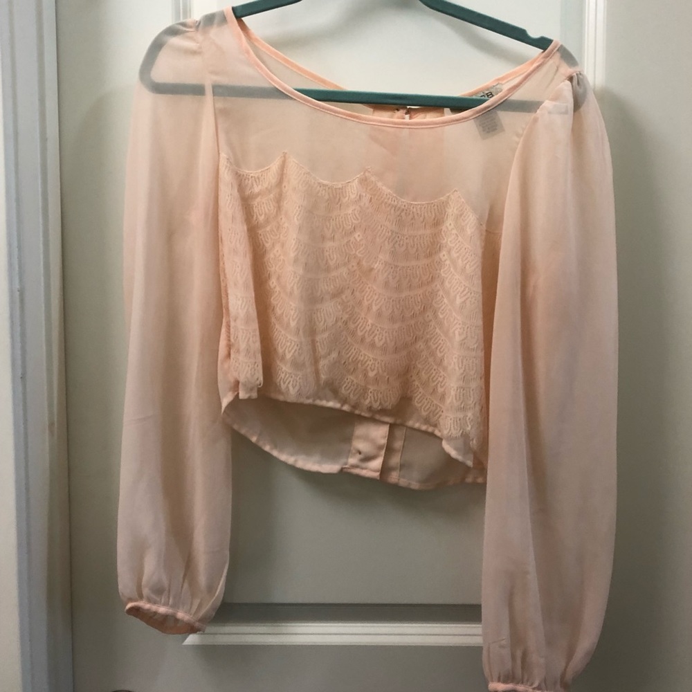 Sheer Cropped Blush Pink Shirt